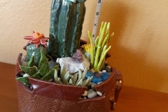 cactus-garden-1